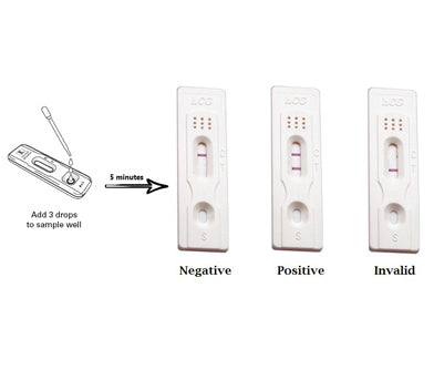 Pregnancy Test Cassette